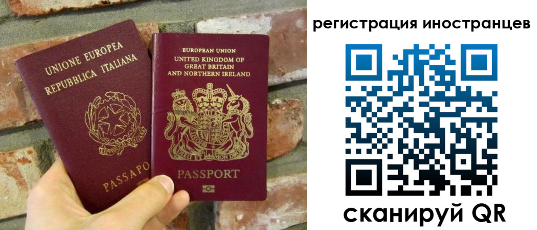 временная регистрация для школы в Щучье